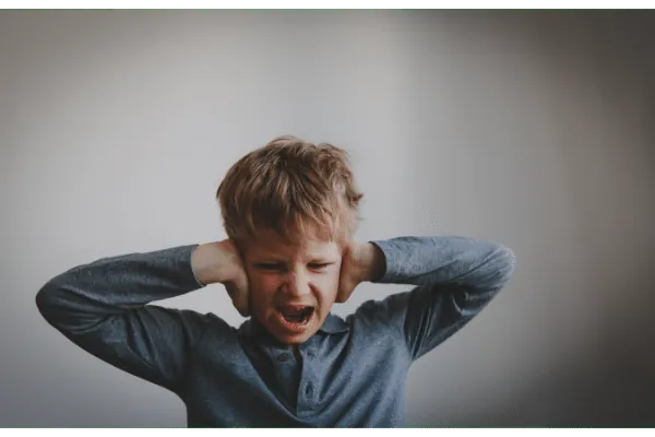 Agressivité chez l’enfant et l’adolescent : prévenir et agir
